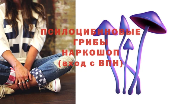 шишки Ахтубинск