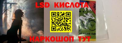 прущие грибы Будённовск