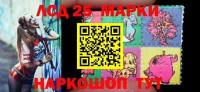 мдпв Гатчина