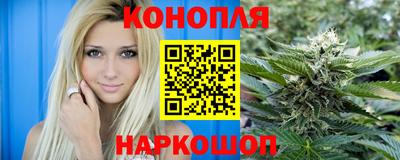 прущие грибы Будённовск