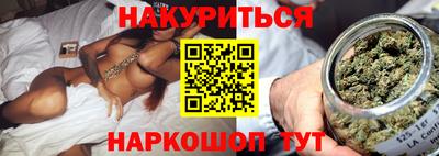 прущие грибы Будённовск