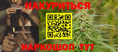 прущие грибы Будённовск
