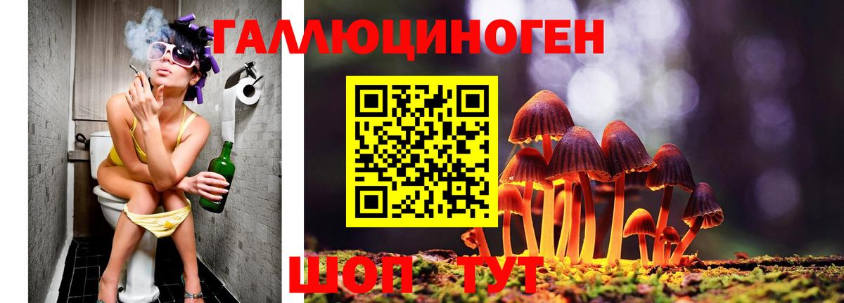 Псилоцибиновые грибы ЛСД Дубна